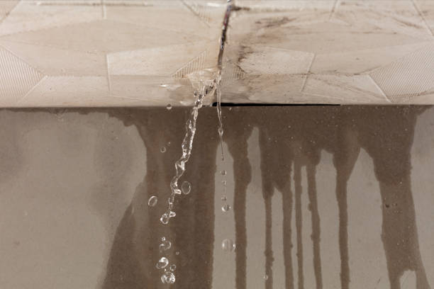 Professional Water Damage Restoration technician working in Pleasantville, IA